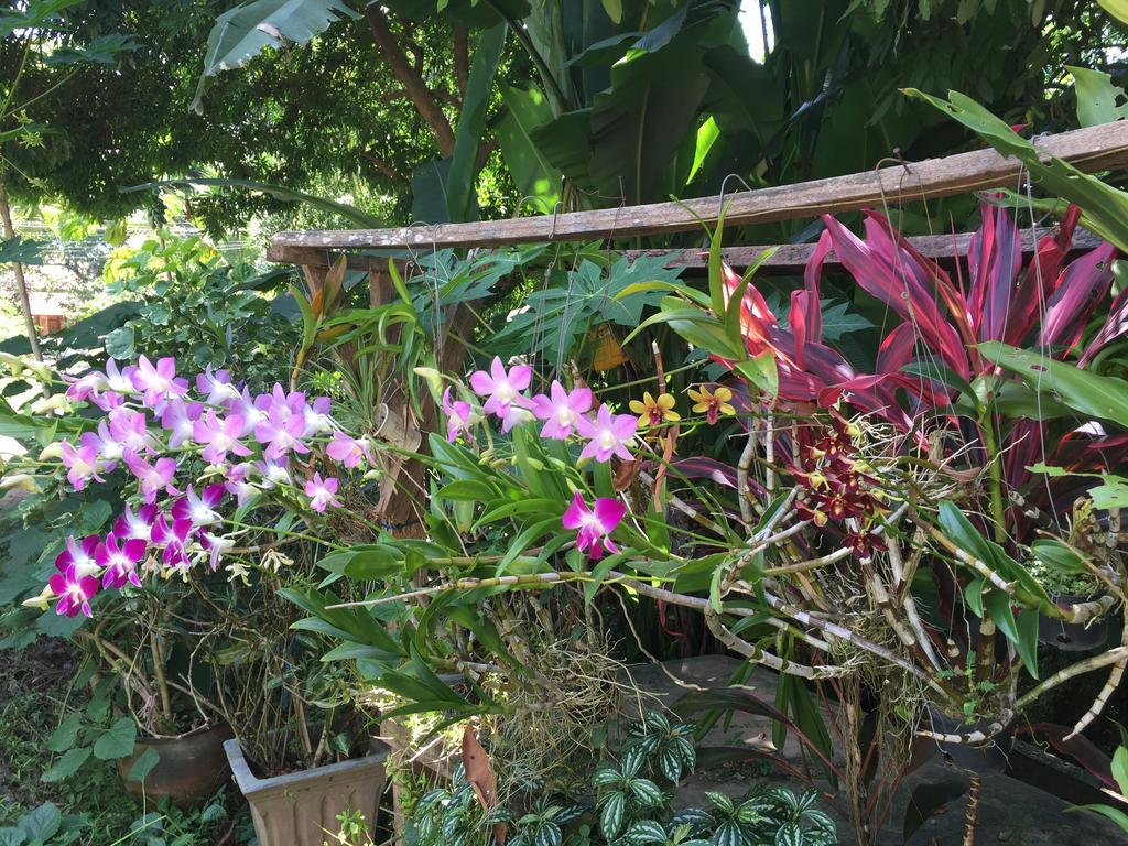 班微凡木屋旅馆 琅勃拉邦 外观 照片